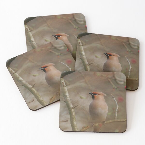 Item preview, Waxwing winter designed and sold by miradorpictures.