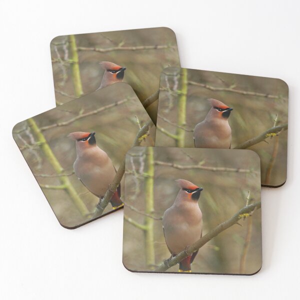 Item preview, Waxwing waiting  designed and sold by miradorpictures.
