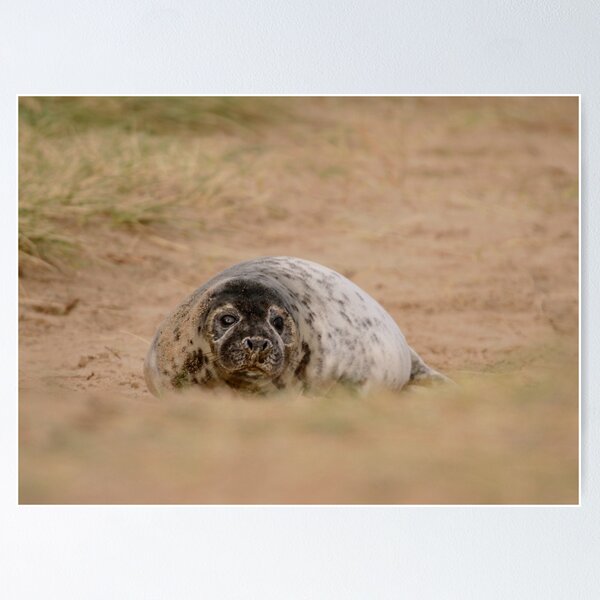 Item preview, The waddle  designed and sold by miradorpictures.