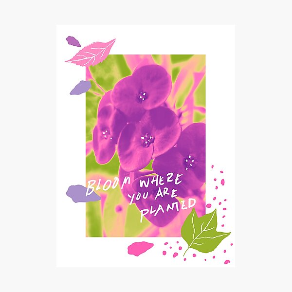 Item preview, BLOOM WHERE YOU ARE PLANTED PINK GREEN PURPLE designed and sold by WISDOMheartsMX.
