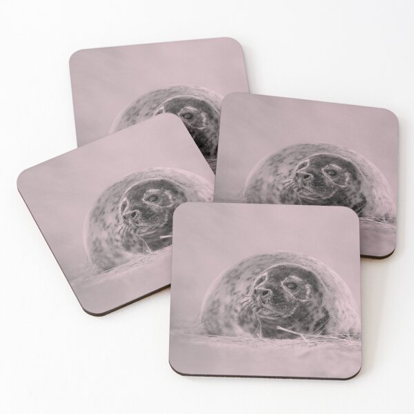 Item preview, Inquisitive Seals designed and sold by miradorpictures.