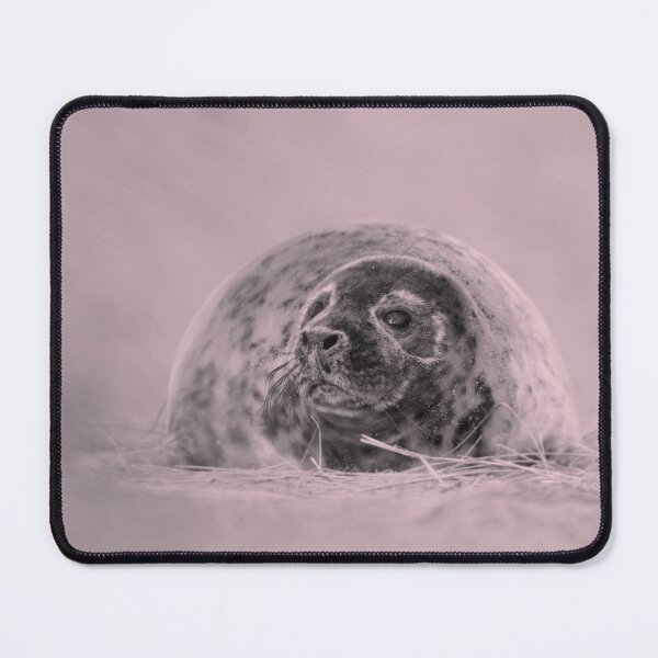 Item preview, Inquisitive Seals designed and sold by miradorpictures.