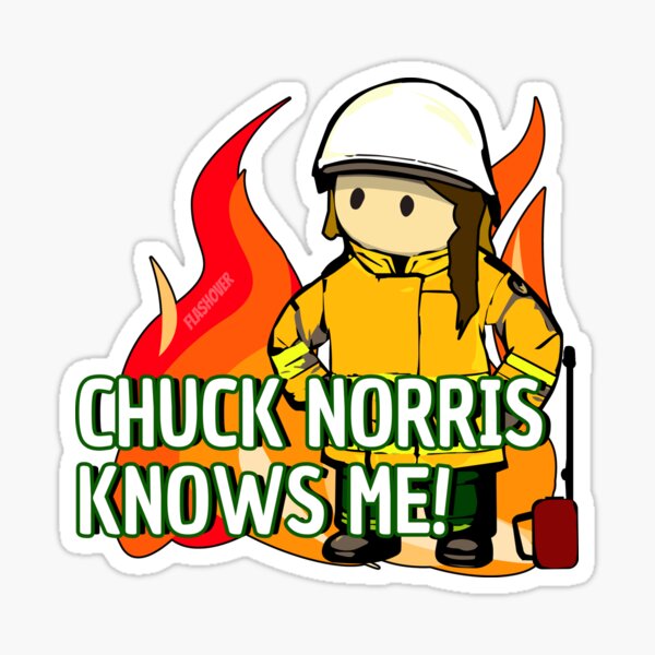 Vista previa del artículo con la obra «Personalizado: ¡Chuck Norris me conoce!», diseñado y vendido por Flashover.