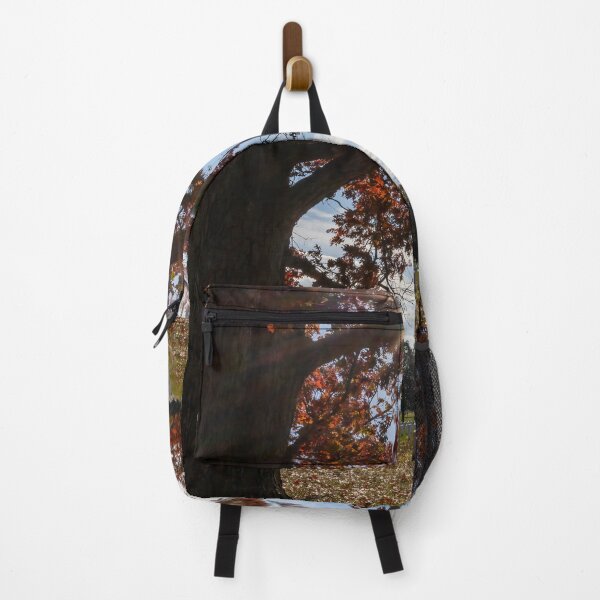 Item preview, Autumn at Arlington Cemetery 2 designed and sold by jrtwynam.