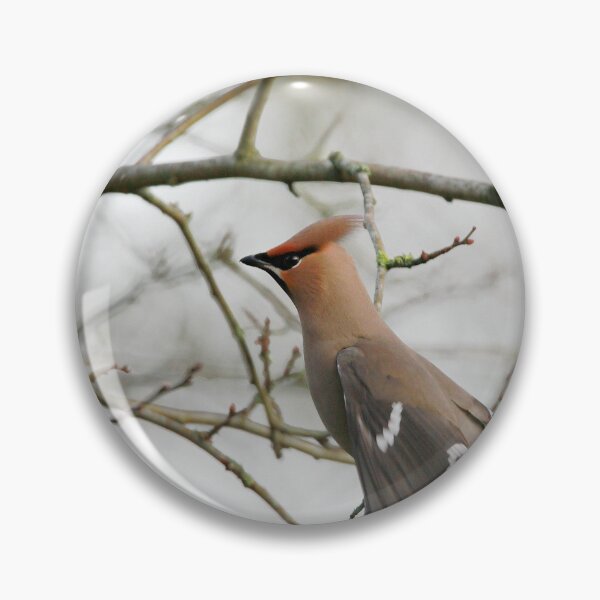 Item preview, Flight designed and sold by miradorpictures.