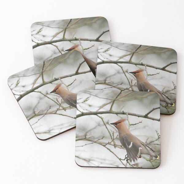 Item preview, Flight designed and sold by miradorpictures.