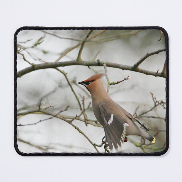 Item preview, Flight designed and sold by miradorpictures.