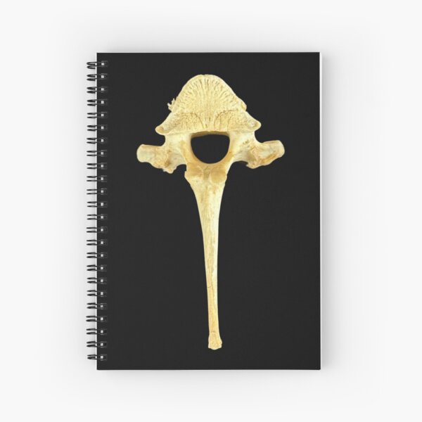 Item preview, VERTEBRA designed and sold by Chili Cake.