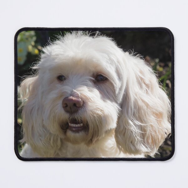 Item preview, Buddy designed and sold by JEZ22.