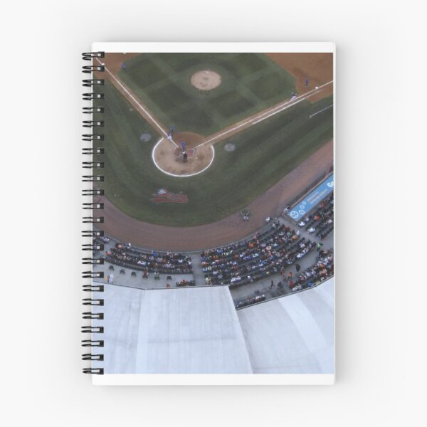 Item preview, Bethpage Ballpark, Central Islip Series 1  designed and sold by SawgrassDan.
