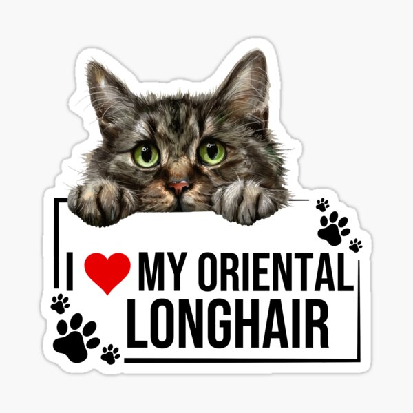 Item preview, I Love My Oriental Longhair Cat designed and sold by TheAnimalZ00.
