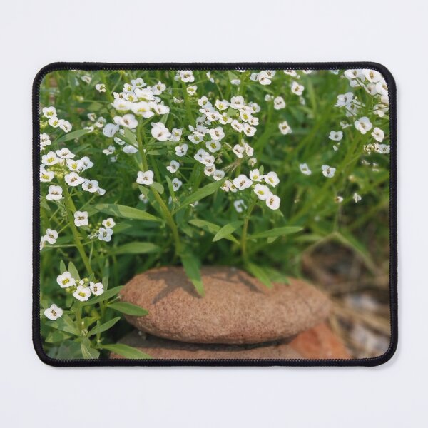 Item preview, Alyssum and Rock Cairn designed and sold by Debbie Schulte.