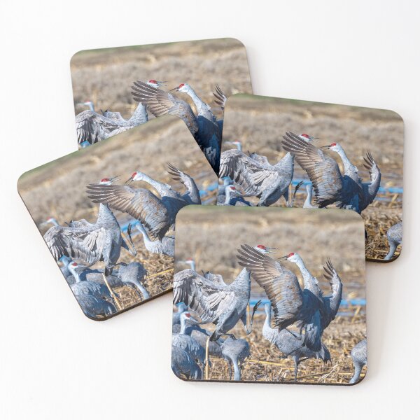 Item preview, Do a Little Dance designed and sold by DawsonImages.