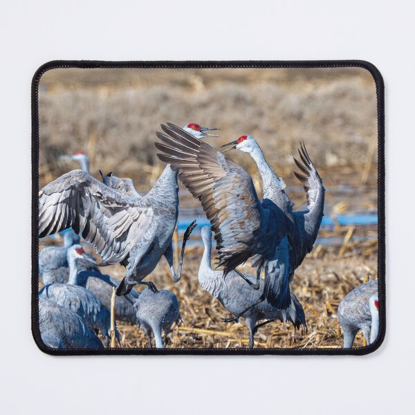 Item preview, Do a Little Dance designed and sold by DawsonImages.