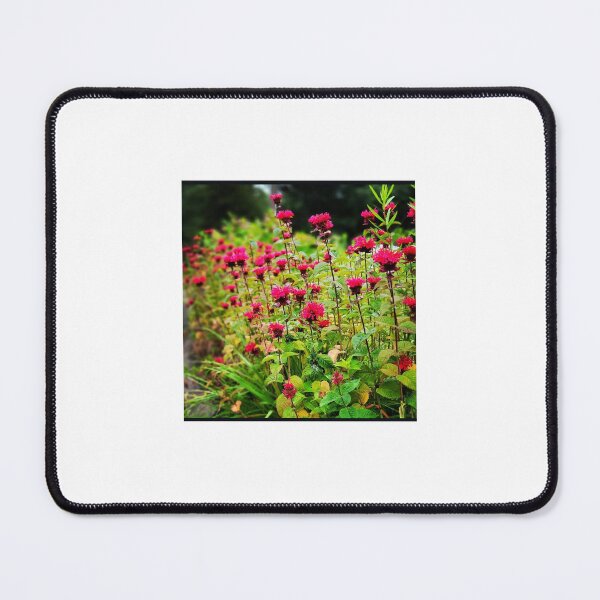 Item preview, Garden Delight designed and sold by Christina and Juliana Creations.