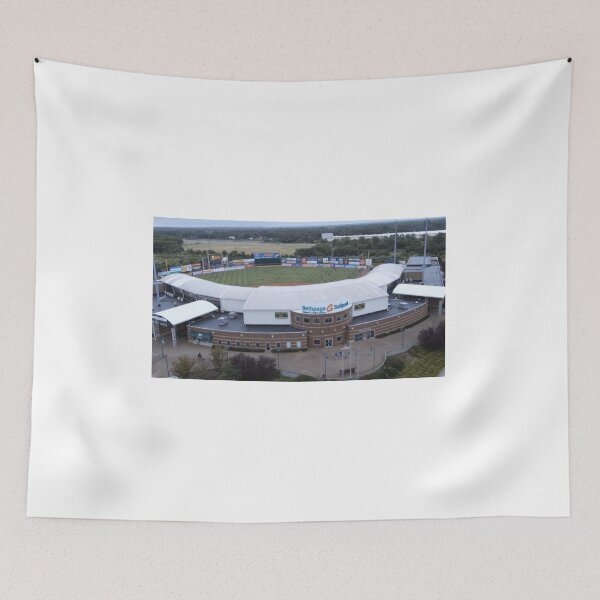 Item preview, Bethpage Ballpark, Central Islip Series 8 designed and sold by SawgrassDan.