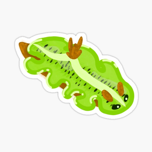 Item preview, Kiwi nudibranch designed and sold by MorganeMahaud.