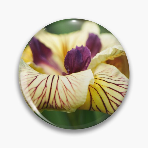 Item preview, Pacific Coast Yellow designed and sold by Larry Davis.