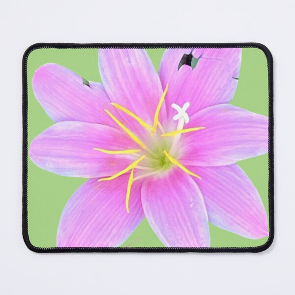 Item preview, Pink Rain Lily, green background designed and sold by Josephine Ethereal.