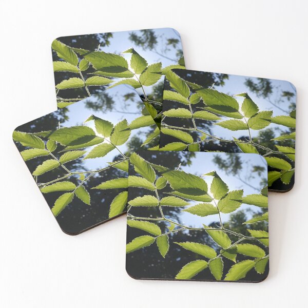 Item preview, View of plant leaves very beautifully designed and sold by Yusuf-Design.