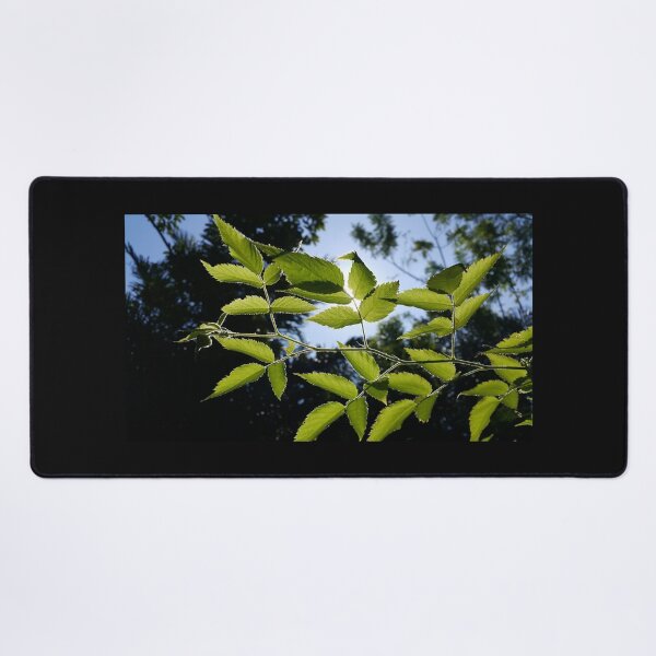 Item preview, View of plant leaves very beautifully designed and sold by Yusuf-Design.