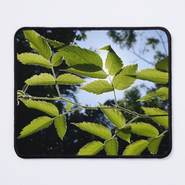 Item preview, View of plant leaves very beautifully designed and sold by Yusuf-Design.