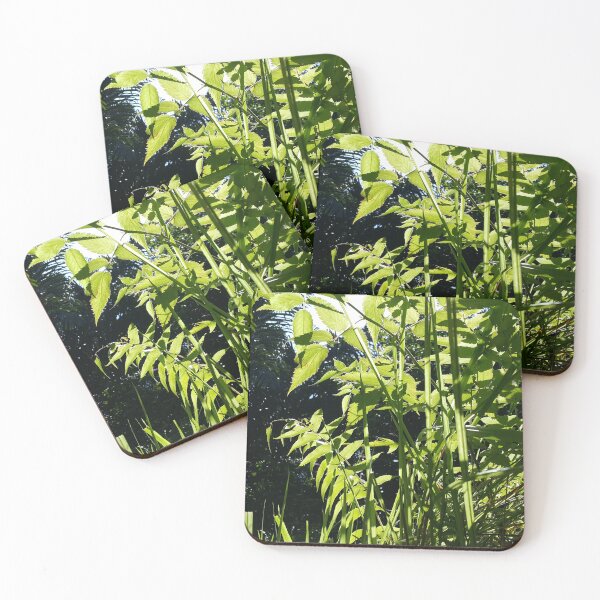 Item preview, beautiful light green leaf, Natural landscape photography designed and sold by Yusuf-Design.