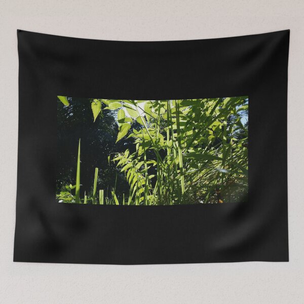 Item preview, beautiful light green leaf, Natural landscape photography designed and sold by Yusuf-Design.