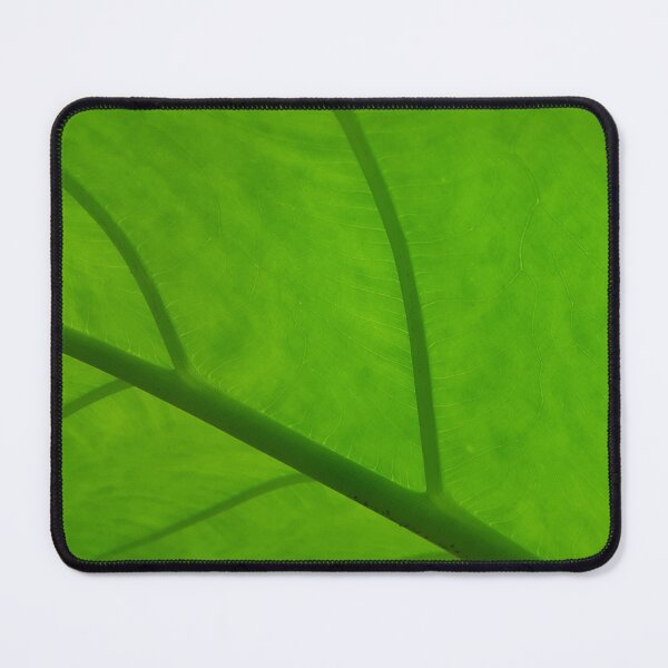 Item preview, Close up of fresh taro leaves designed and sold by Yusuf-Design.