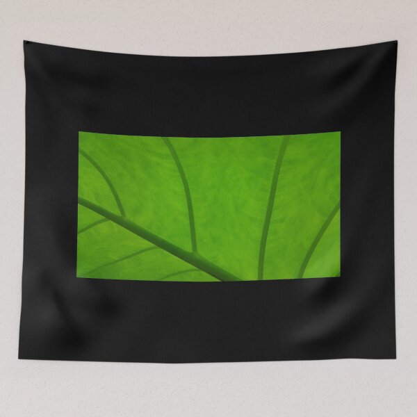 Item preview, Close up of fresh taro leaves designed and sold by Yusuf-Design.