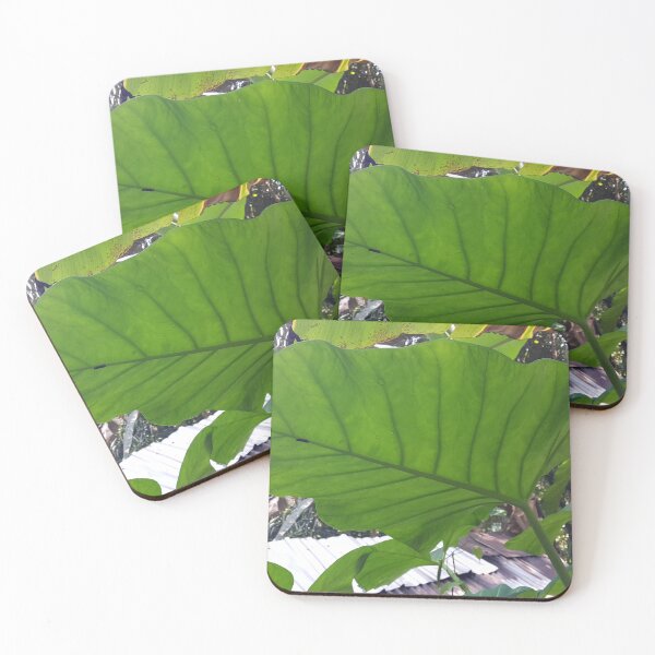 Item preview, Taro leaves from low angle designed and sold by Yusuf-Design.