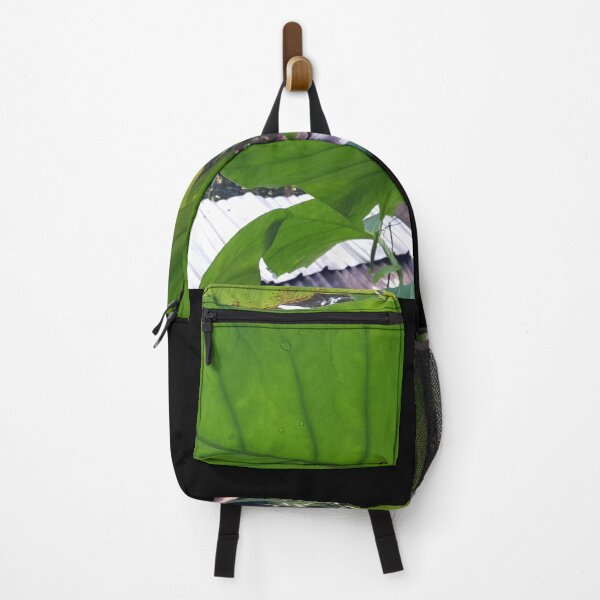 Item preview, Taro leaves from low angle designed and sold by Yusuf-Design.