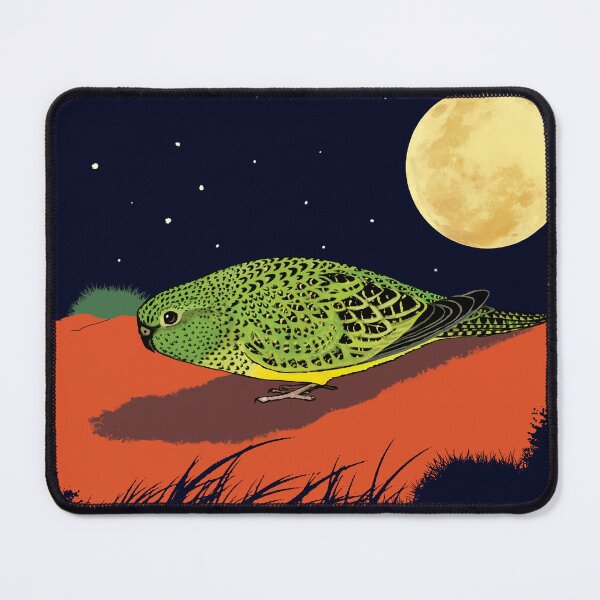 Item preview, Night Parrot, Pezoporus occidentalis, Lazarus of the Spinifex. designed and sold by NinGaui.