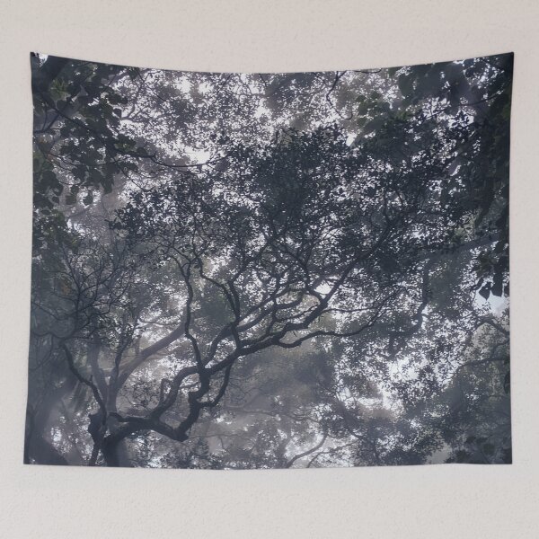 Item preview, Ethereal Canopy in a Foggy Forest designed and sold by Grind107.