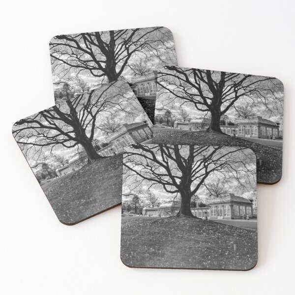 Item preview, Sheffield Botanical Garden BW designed and sold by Alisonchambers2.
