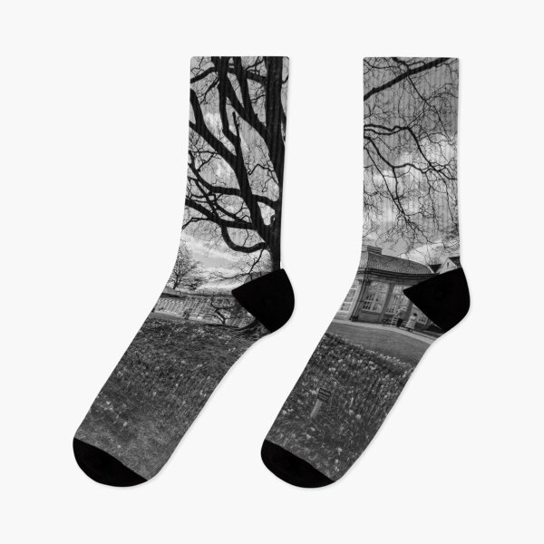 Item preview, Sheffield Botanical Garden BW designed and sold by Alisonchambers2.