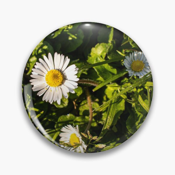 Item preview, Daisy flowed on the field designed and sold by stemoir.