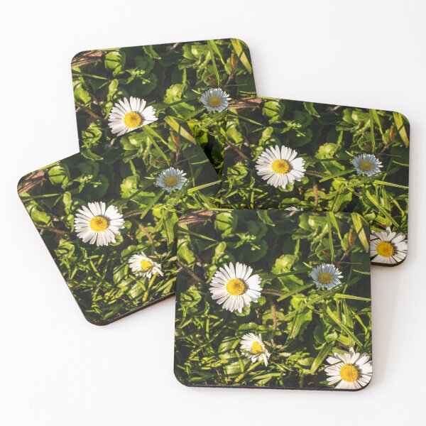 Item preview, Daisy flowed on the field designed and sold by stemoir.