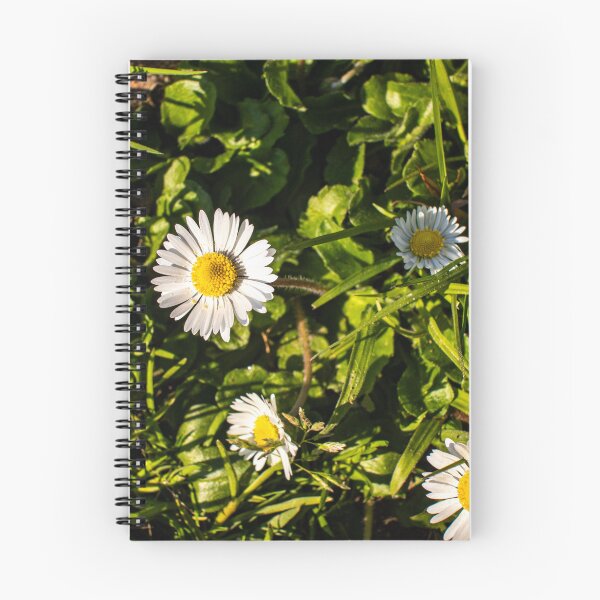 Item preview, Daisy flowed on the field designed and sold by stemoir.
