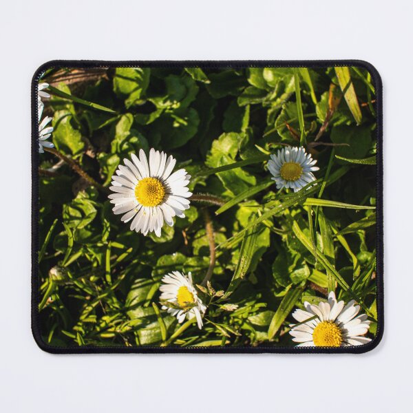 Item preview, Daisy flowed on the field designed and sold by stemoir.