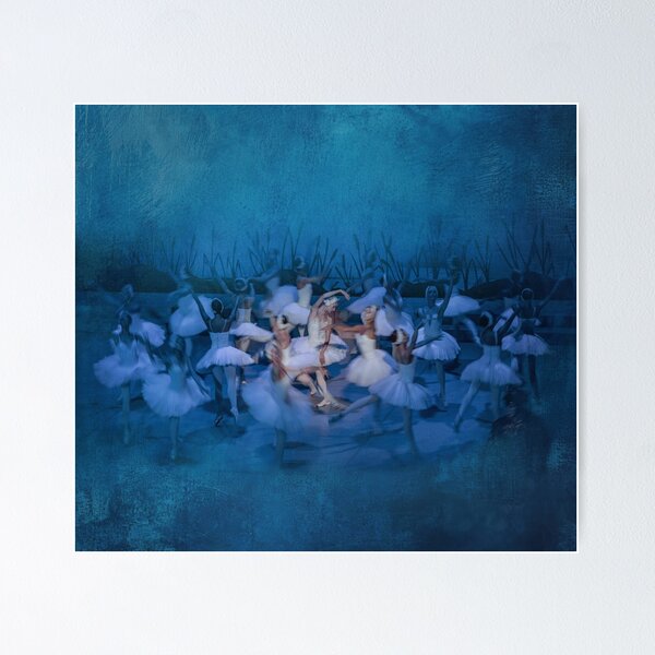 Item preview, Swan Lake designed and sold by Julia Shepeleva.