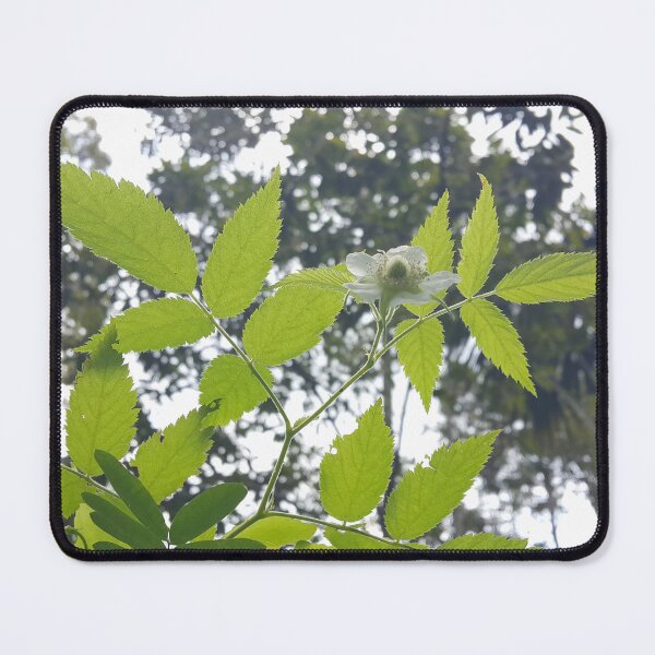 Item preview, Very beautiful white color flower wallpaper designed and sold by Yusuf-Design.