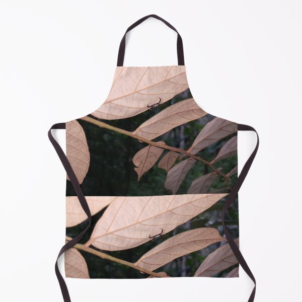 Item preview, Blue Jumping Spider, Beauty in nature. designed and sold by Yusuf-Design.