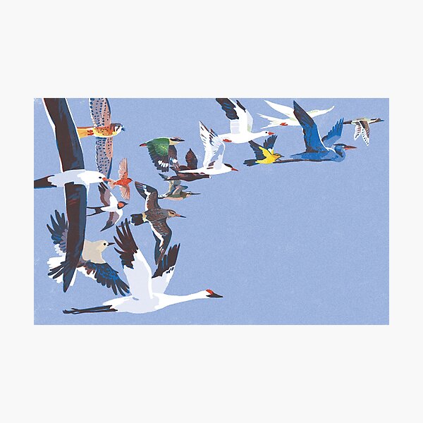 Item preview, Birds flying designed and sold by qu-lan.