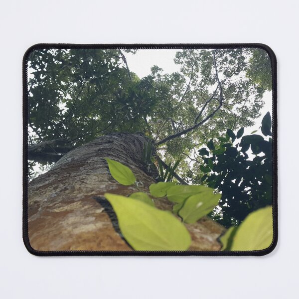 Item preview, View of a shot tree in the forest. designed and sold by Yusuf-Design.