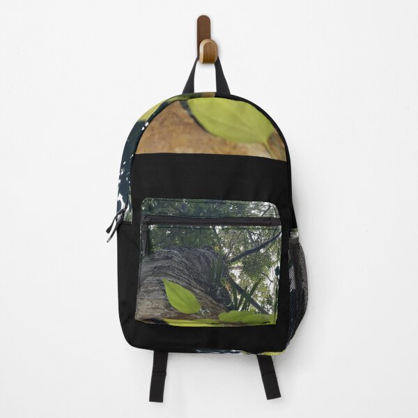 Item preview, View of a shot tree in the forest. designed and sold by Yusuf-Design.