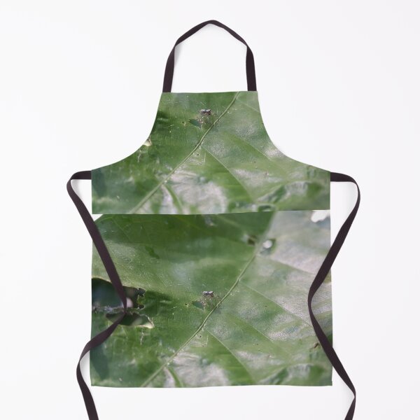 Item preview, Little jumping spider on a leaf designed and sold by Yusuf-Design.