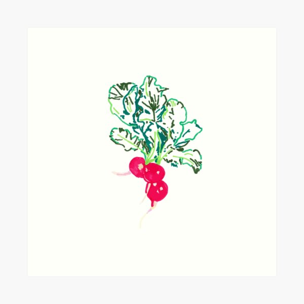 three radishes (in color) Art Print