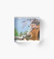 Horse drawn Art Acrylic Block