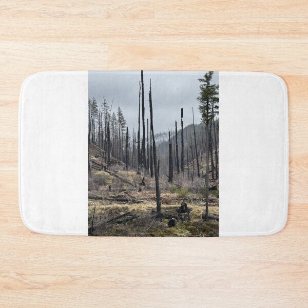 Item preview, Fall creek aftermath  designed and sold by Beau Gordon.
